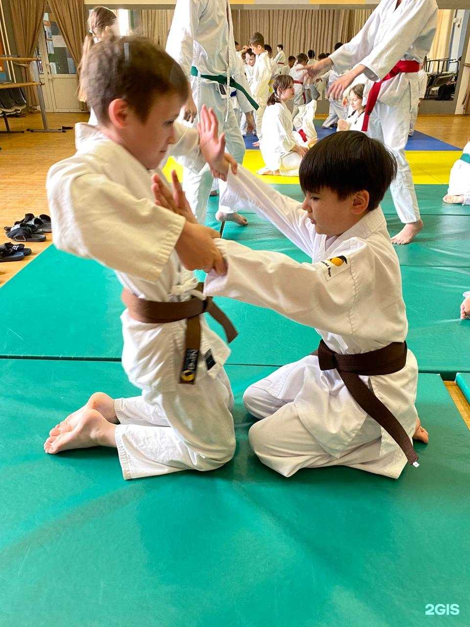 Отзывы на компанию Аметсучи в Казани c фото