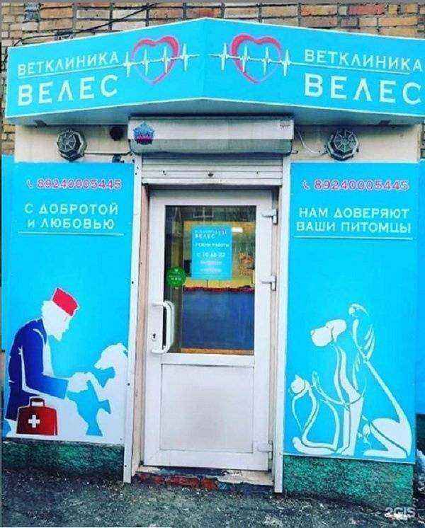 Отзывы на компанию Велес в Владивостоке c фото