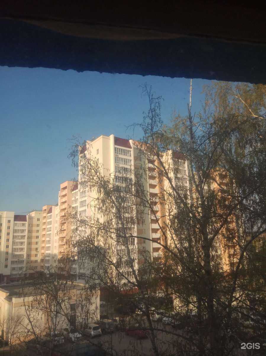 Отзывы на компанию KM Studio в Пензе c фото - фотография 2 из 2