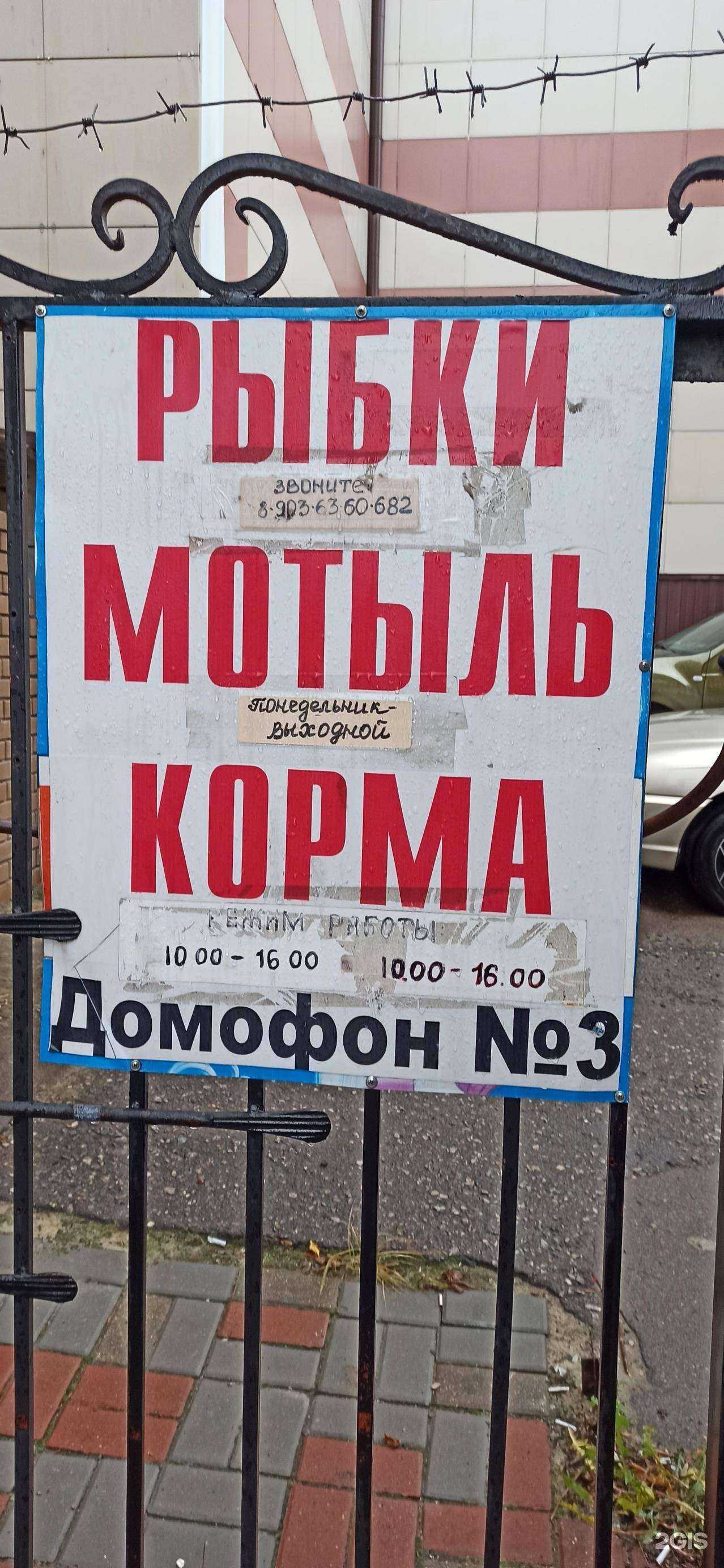 Отзывы на компанию Рыбки в г. Калуга c фото