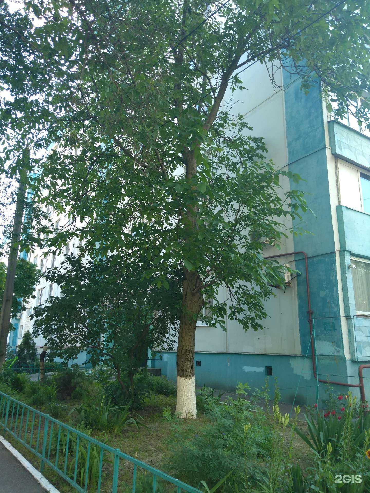 Отзывы на компанию Сантехник в Ростове-на-Дону c фото - фотография 2 из 2