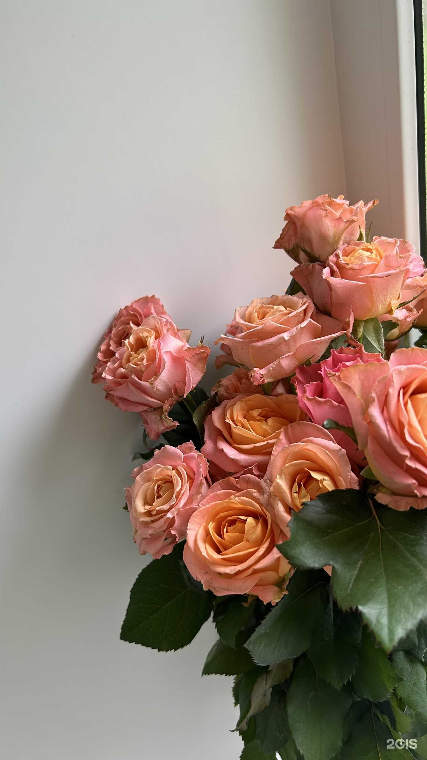 Отзывы на компанию Цветы Удмуртии в г. Ижевск c фото