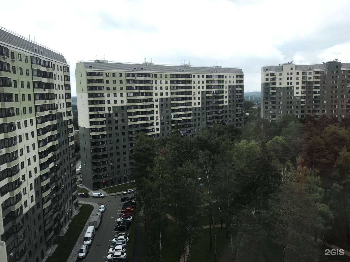 Отзывы на компанию Coddy в Королёве c фото - фотография 2 из 2