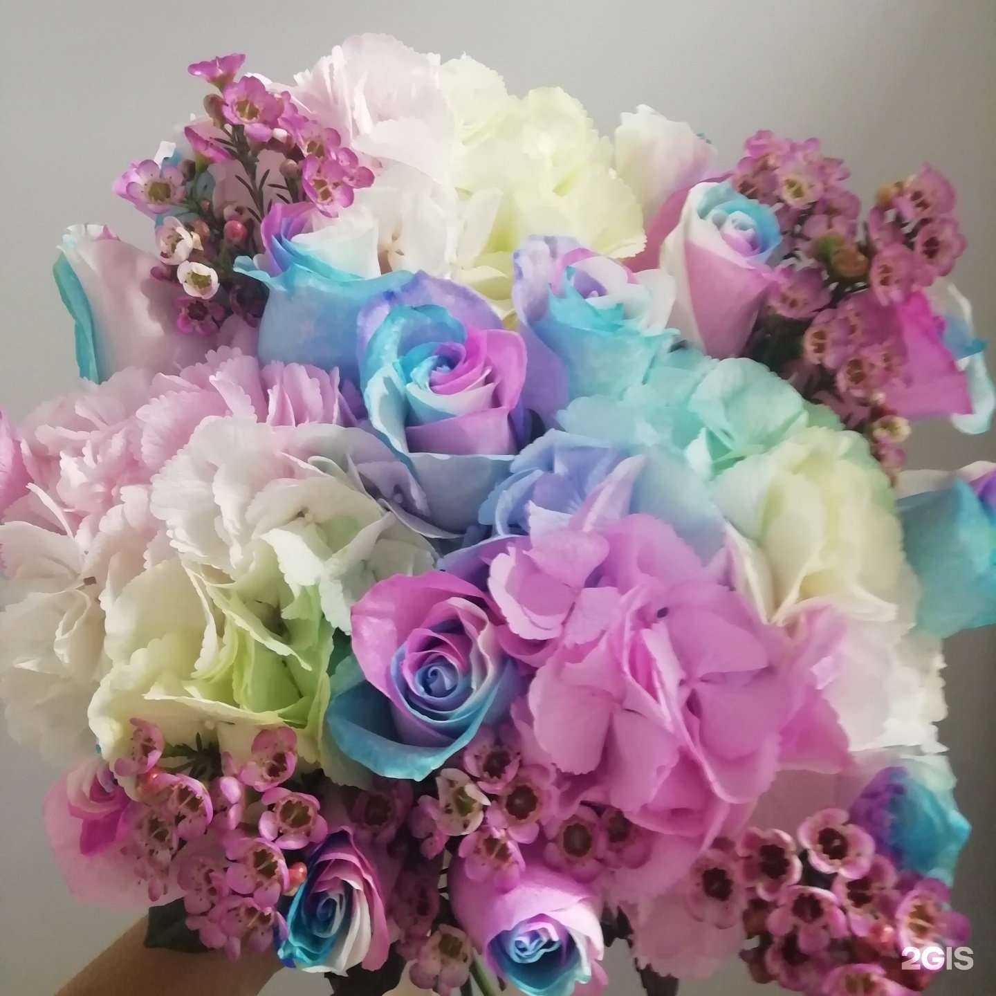 Отзывы на компанию Флоритэль в г. Кемерово c фото