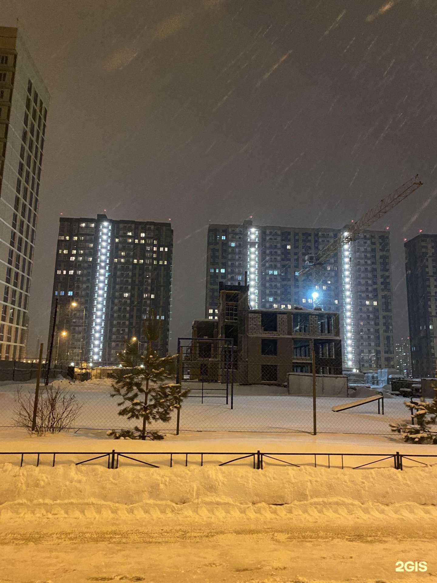 Отзывы на компанию Мокрый нос в Балашихе c фото - фотография 2 из 2