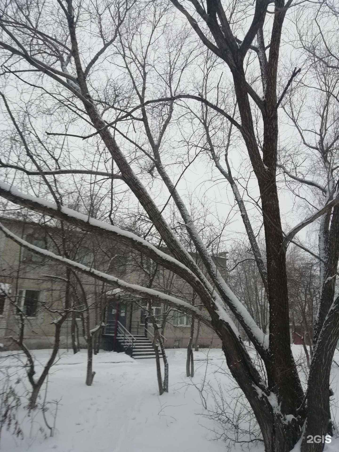 Отзывы на компанию Фельдшерско-акушерский пункт в Кургане c фото - фотография 2 из 2