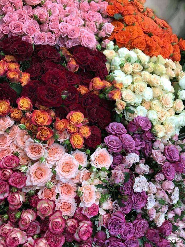 Отзывы на компанию Радуга цветов в Туле c фото