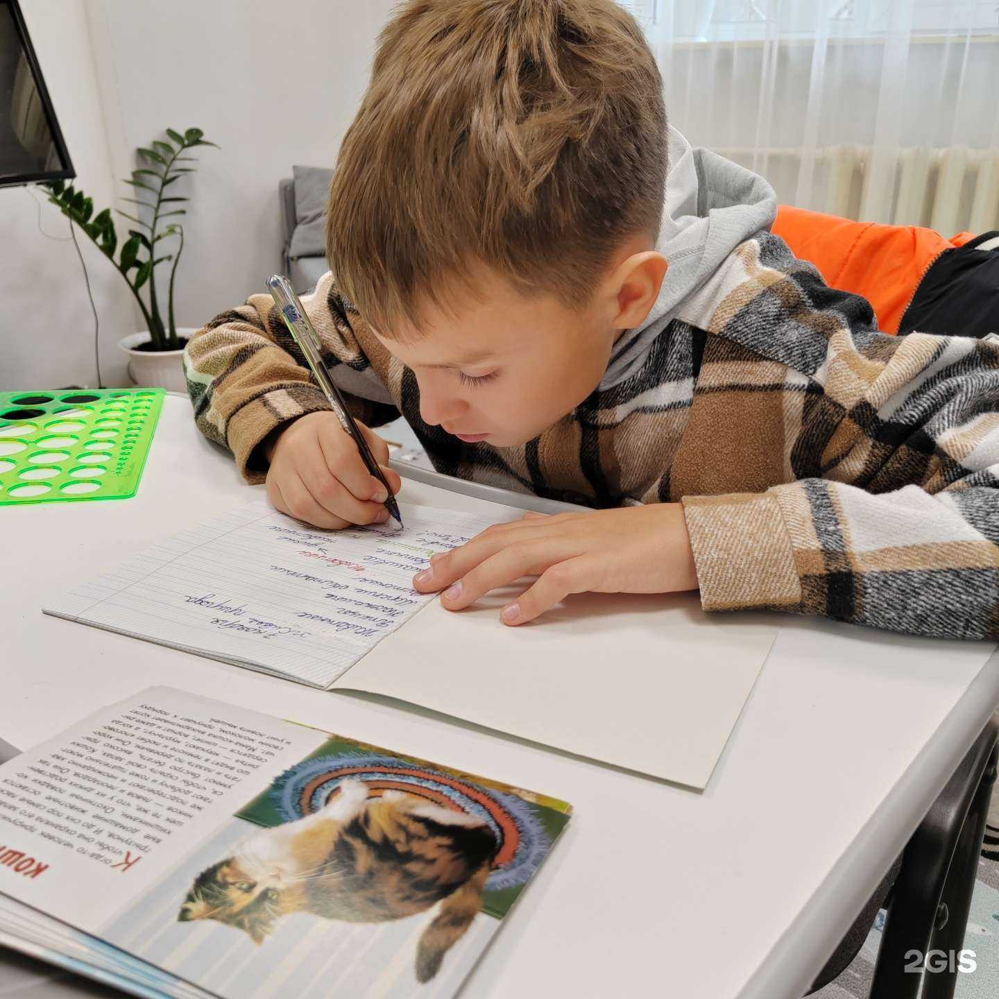 Отзывы на компанию Индиго в Сочи c фото