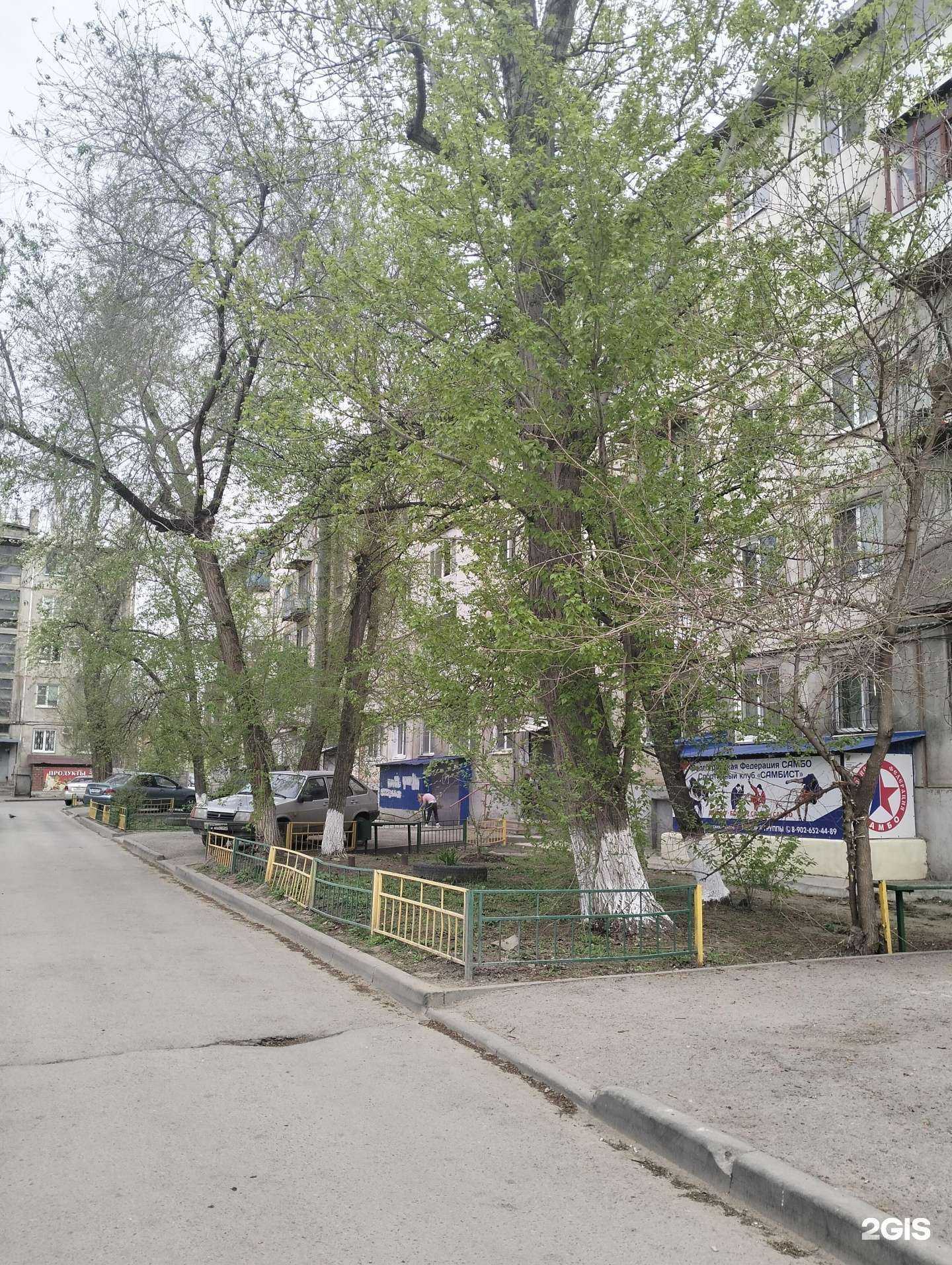 Отзывы на компанию Самбист в Волгограде c фото - фотография 2 из 2