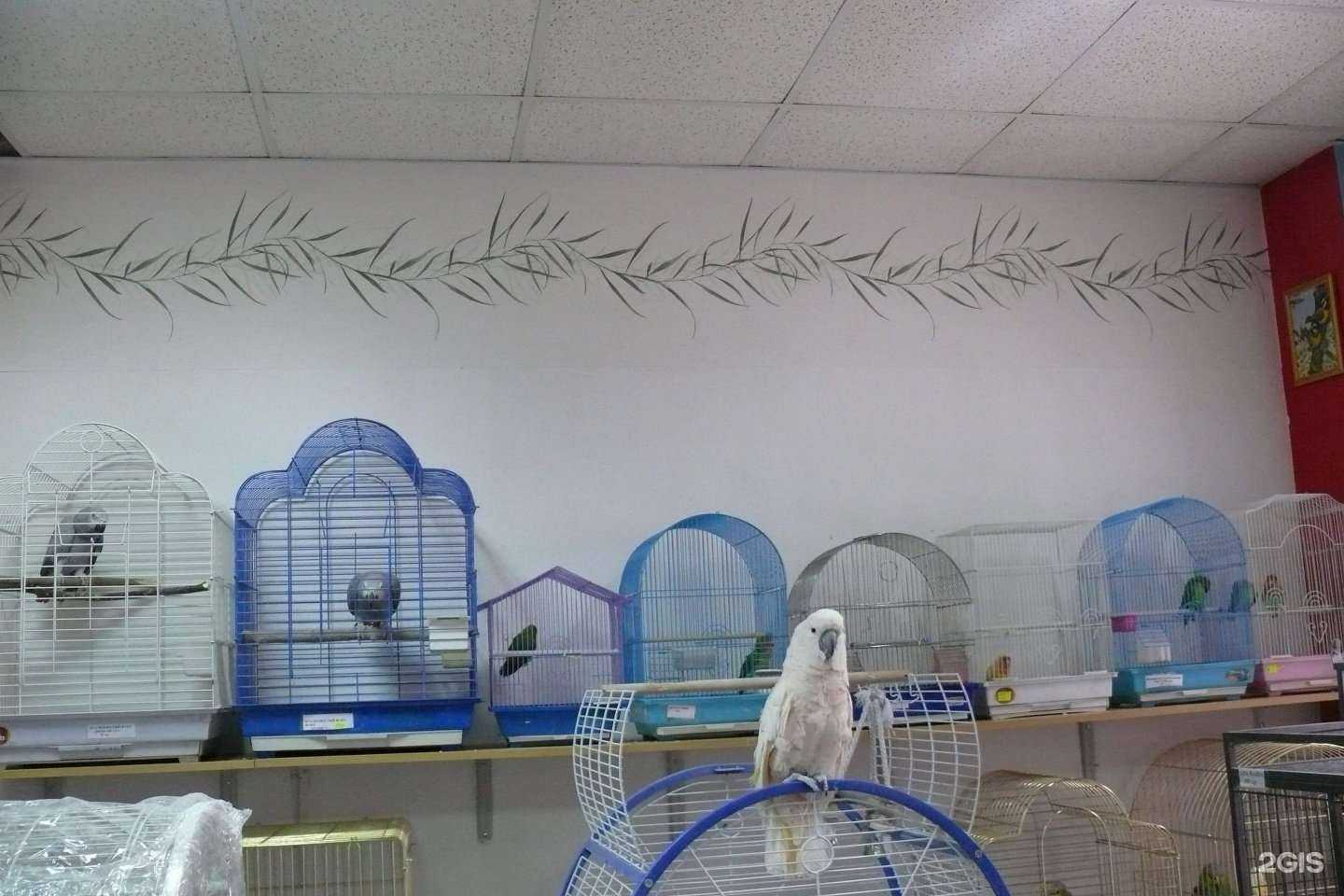 Отзывы на компанию Мир живой природы в г. Тюмень c фото