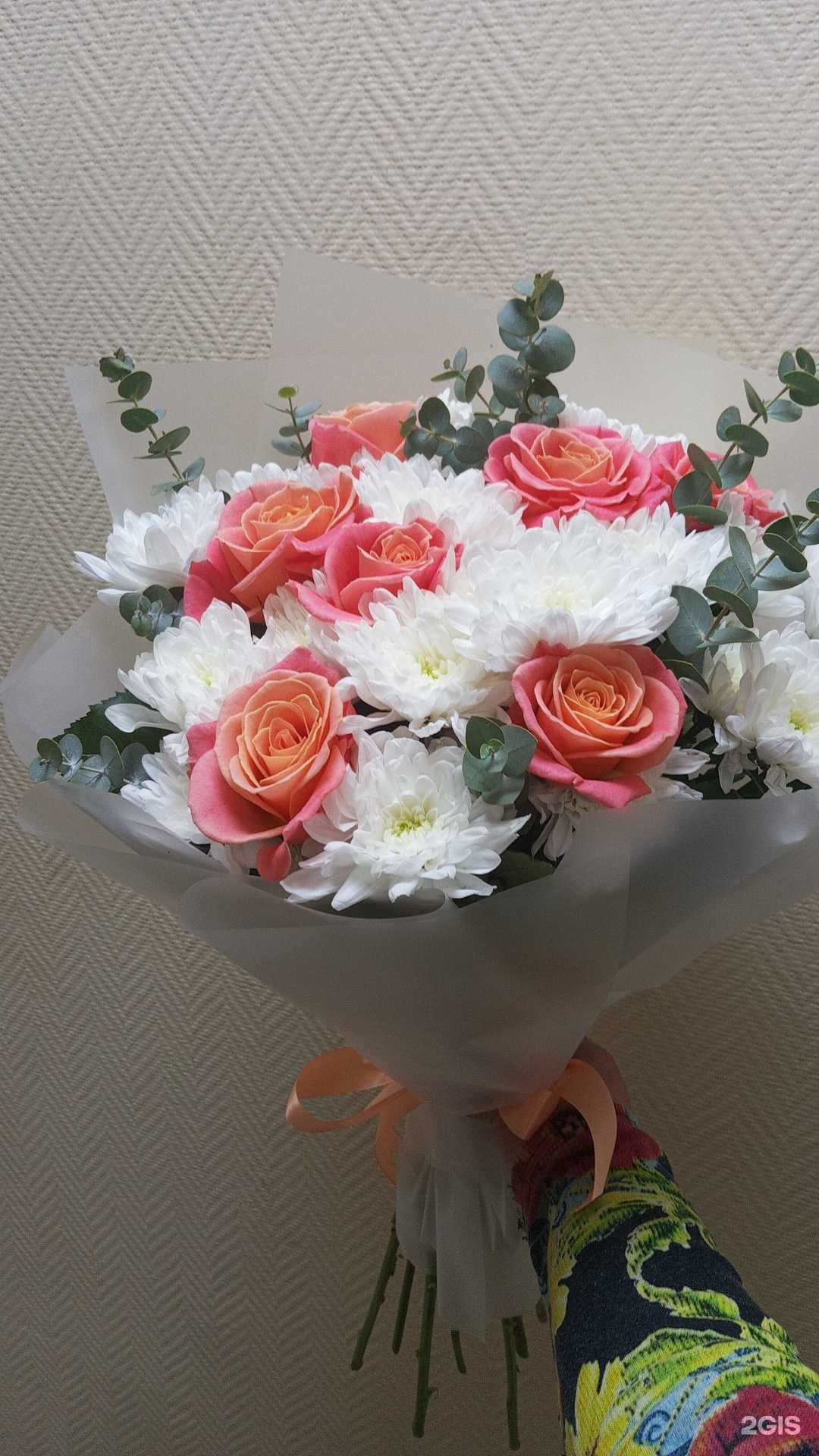 Отзывы на компанию Багира в г. Саратов c фото