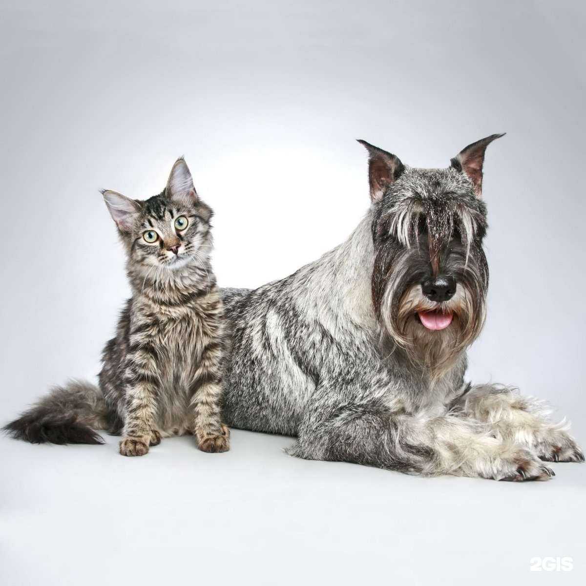 Отзывы на компанию Зубастик-ДВ в Хабаровске c фото