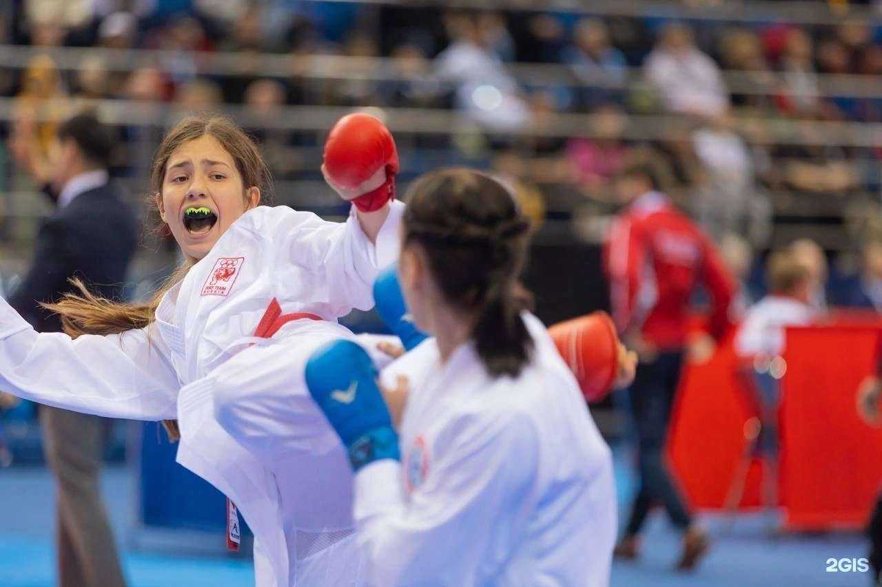 Отзывы на компанию Ирбис в Воронеже c фото