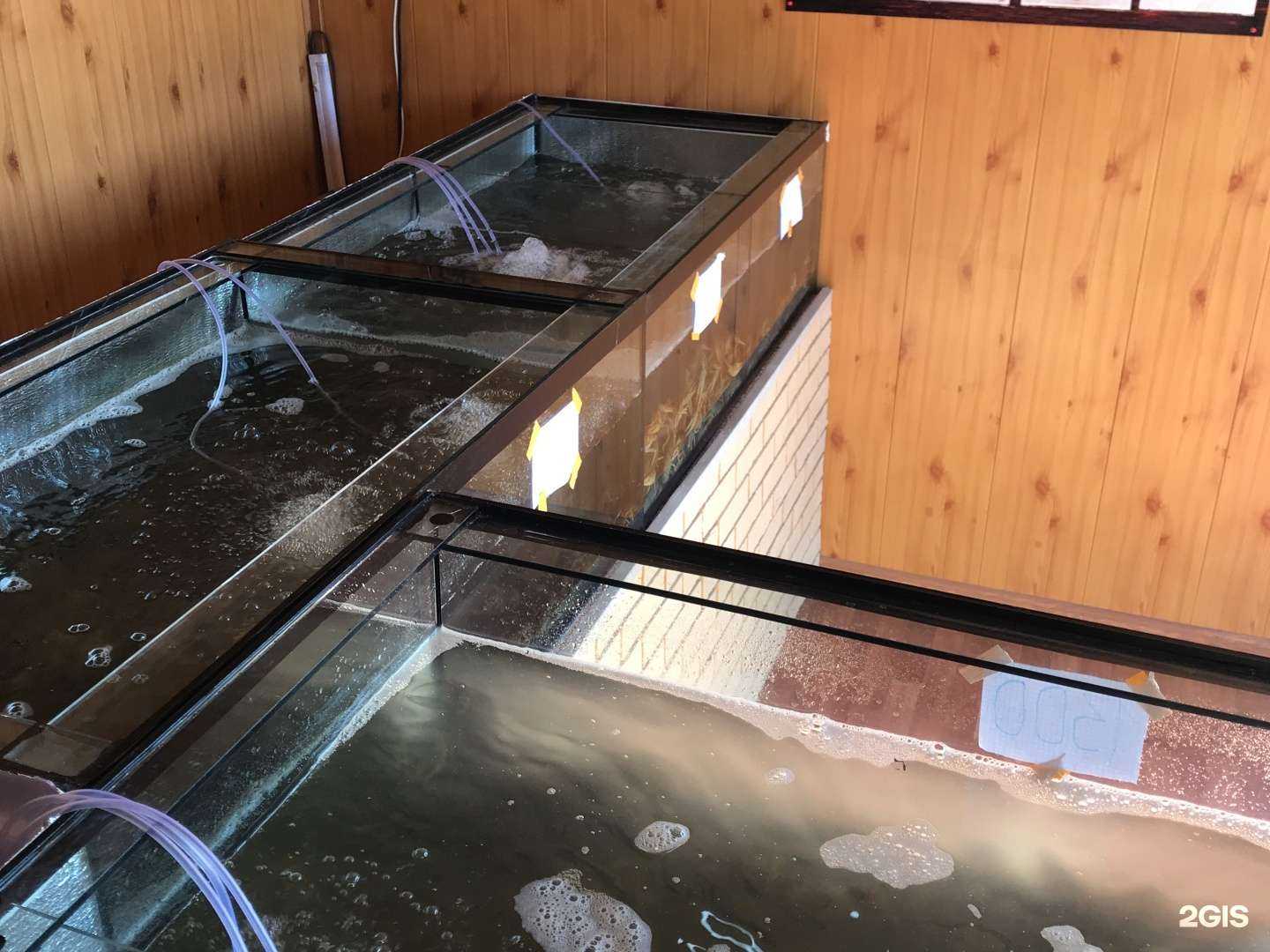 Отзывы на компанию Раки круглый год! в г. Липецк c фото