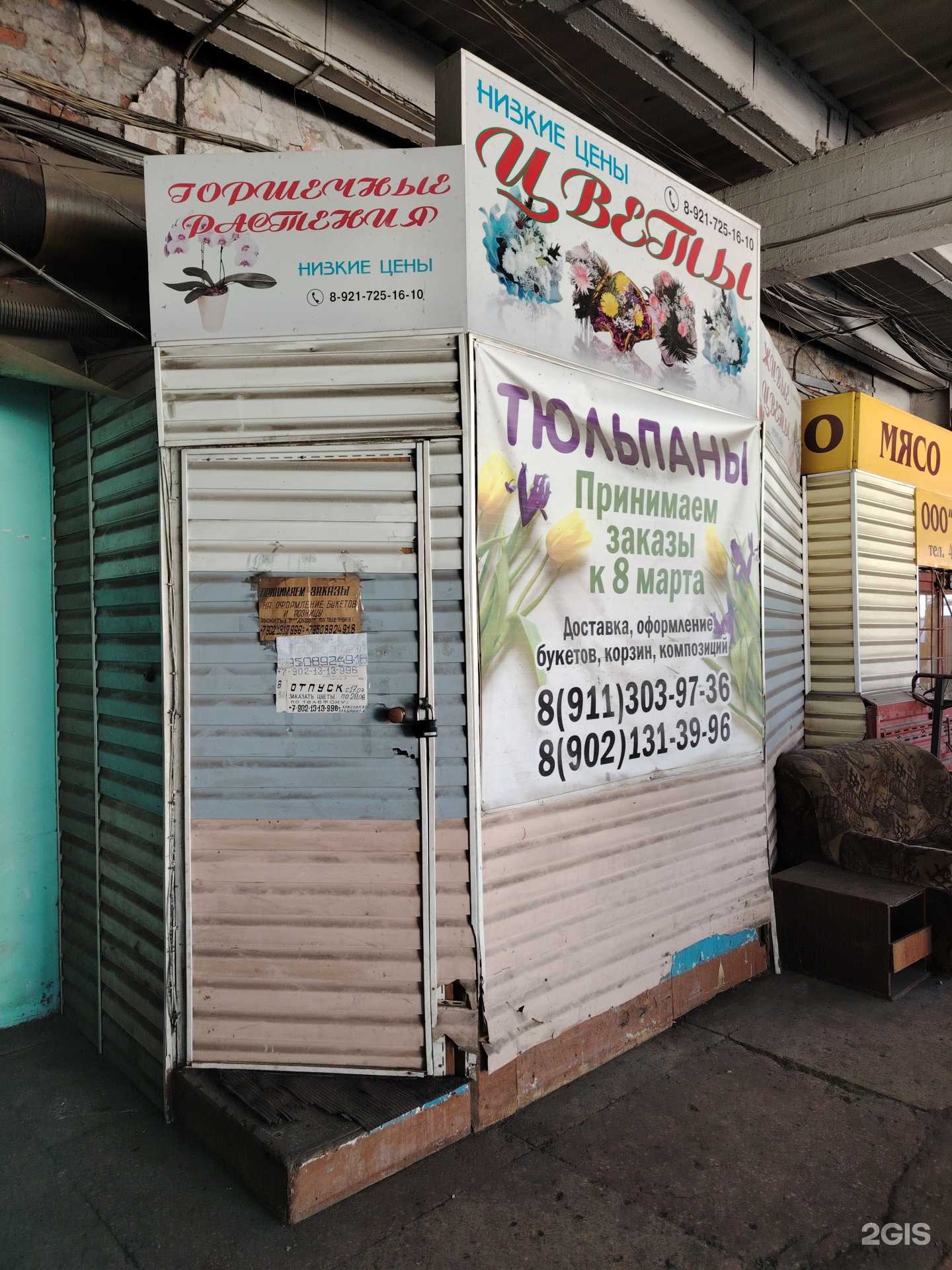 Отзывы на компанию Дикая орхидея в г. Мурманск c фото