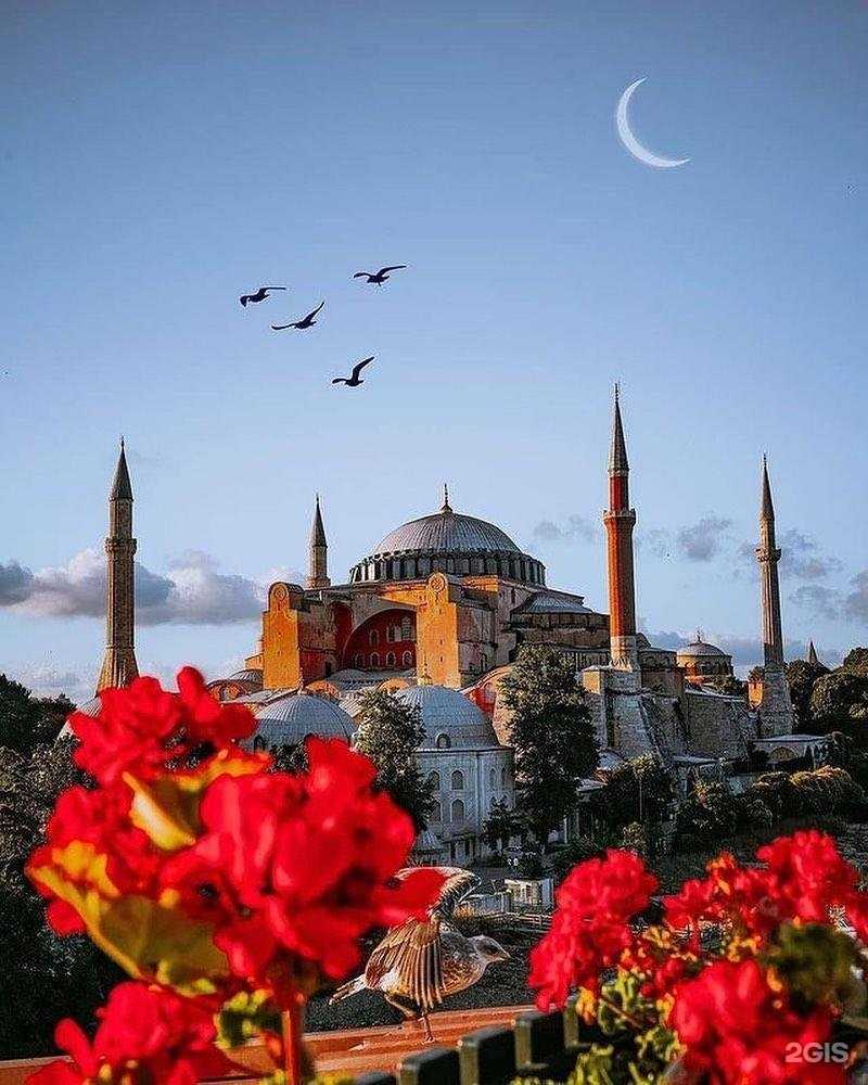 Отзывы на компанию Барбекю в Казани c фото