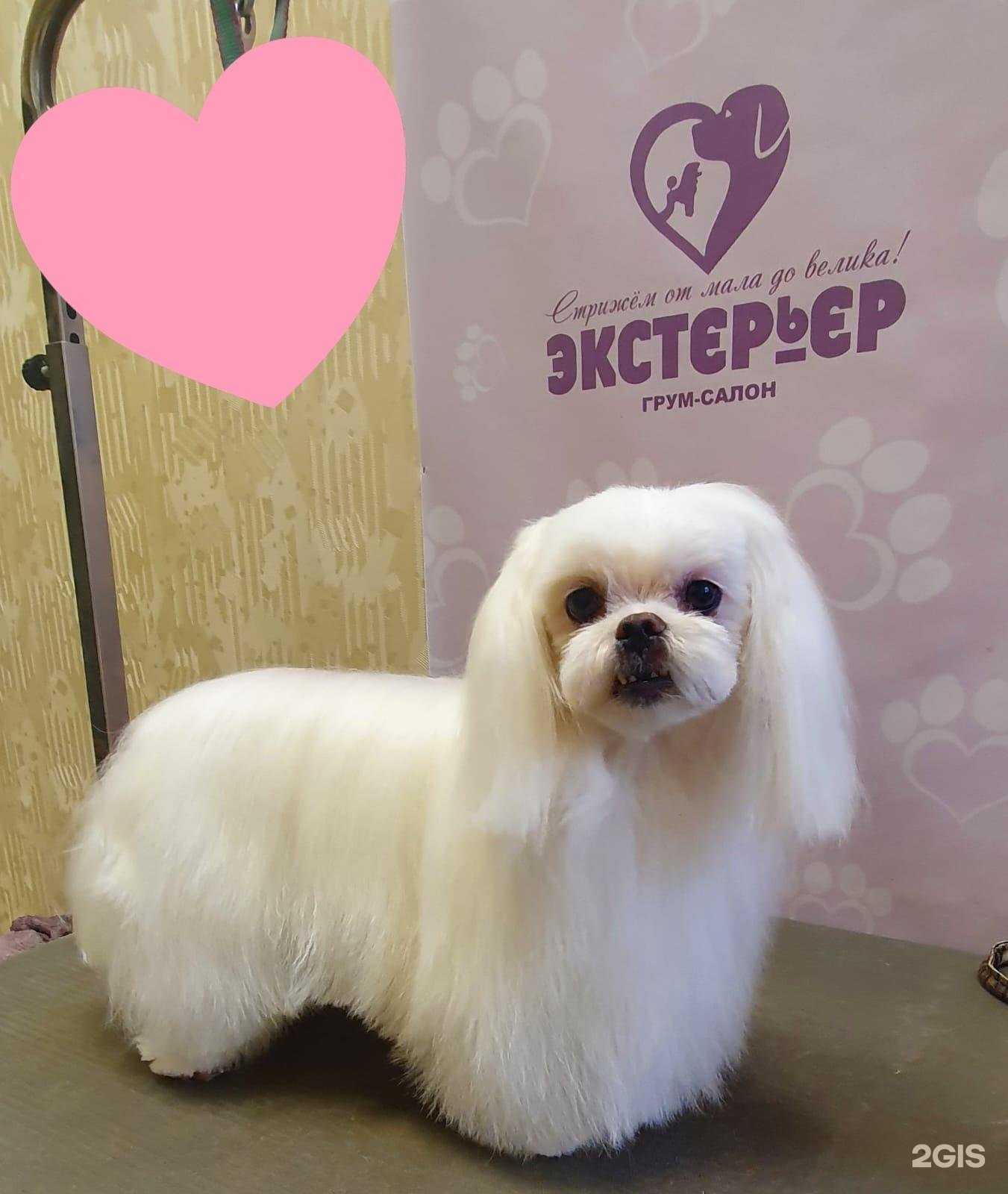 Отзывы на компанию Экстерьер в г. Брянск c фото