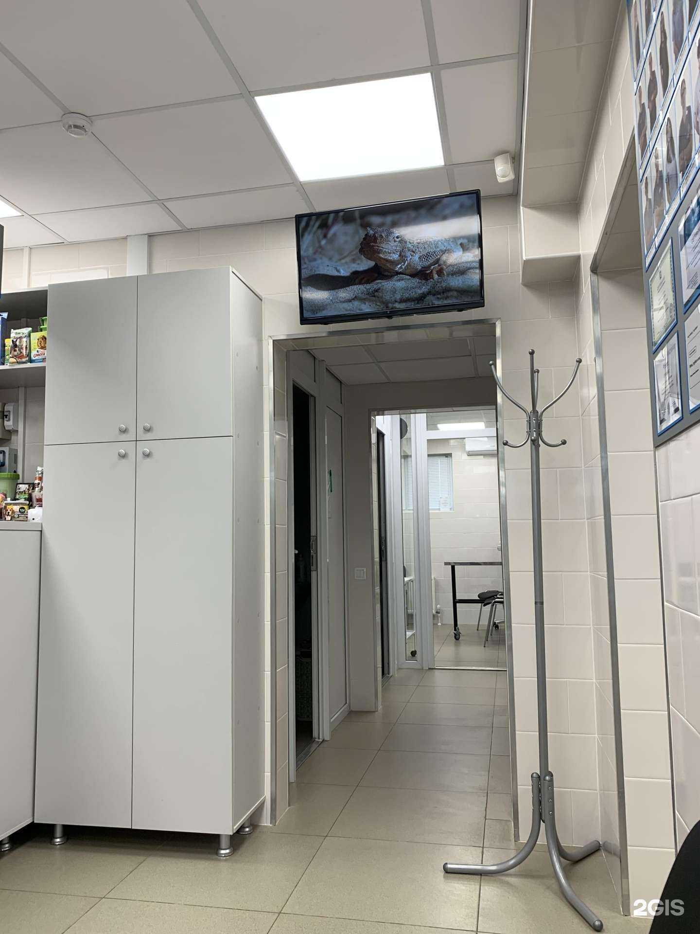 Отзывы на компанию Слон в г. Краснодар c фото