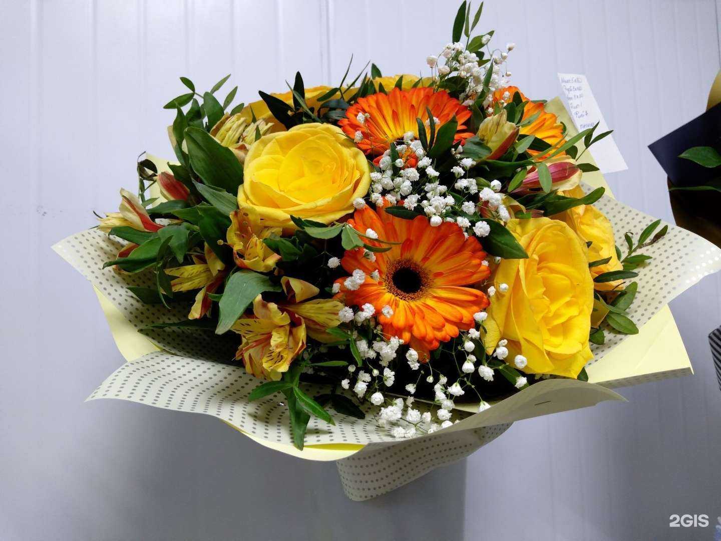 Отзывы на компанию Лантана в Костроме c фото