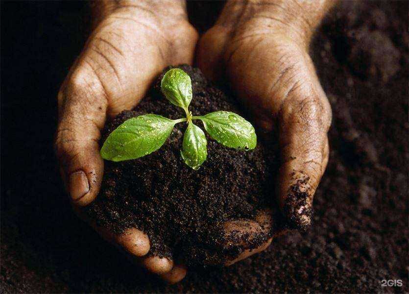 Отзывы на компанию Домгазон в Красногорске c фото