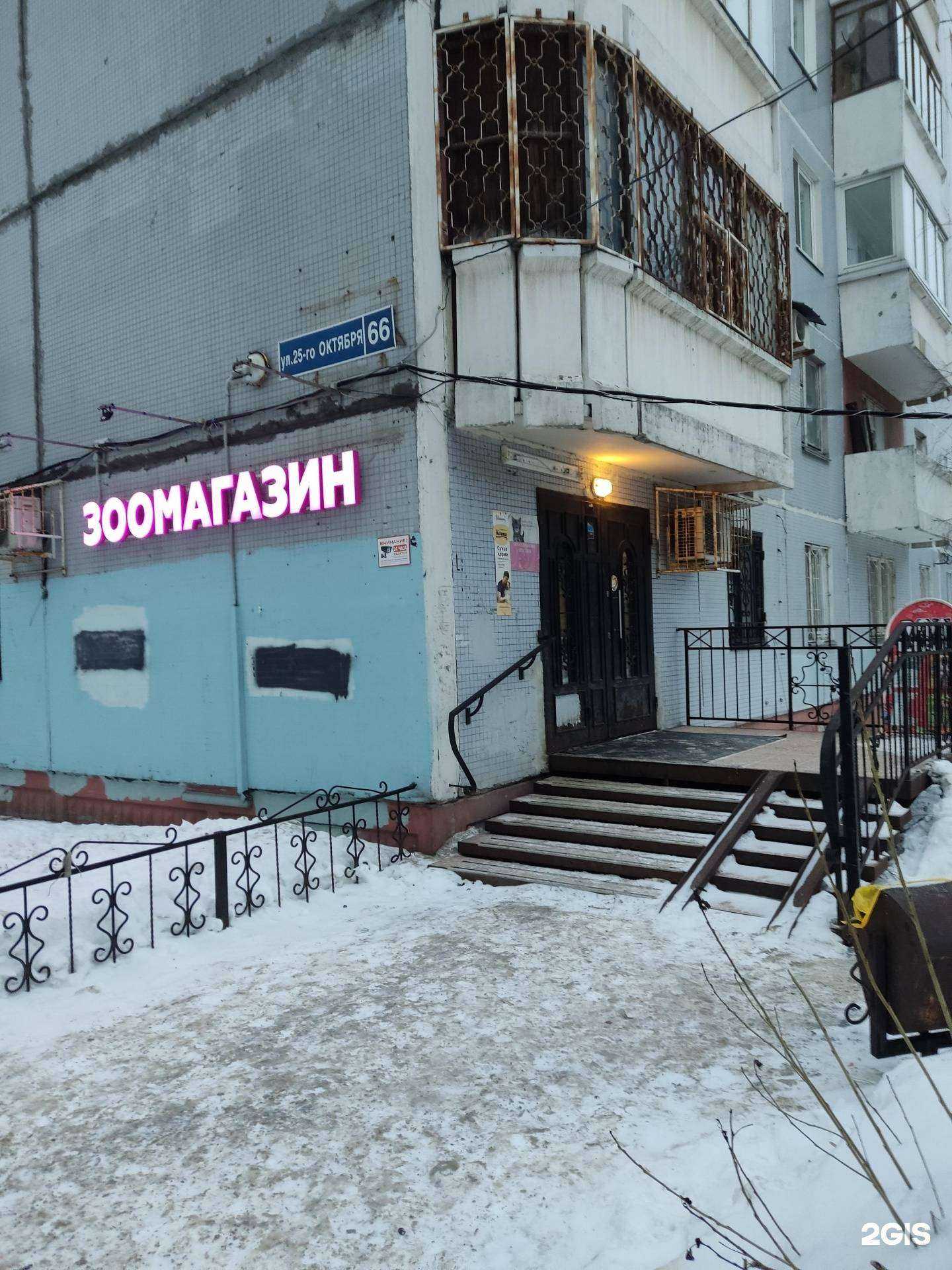 Отзывы на компанию Магазин зоотоваров в г. Пермь c фото