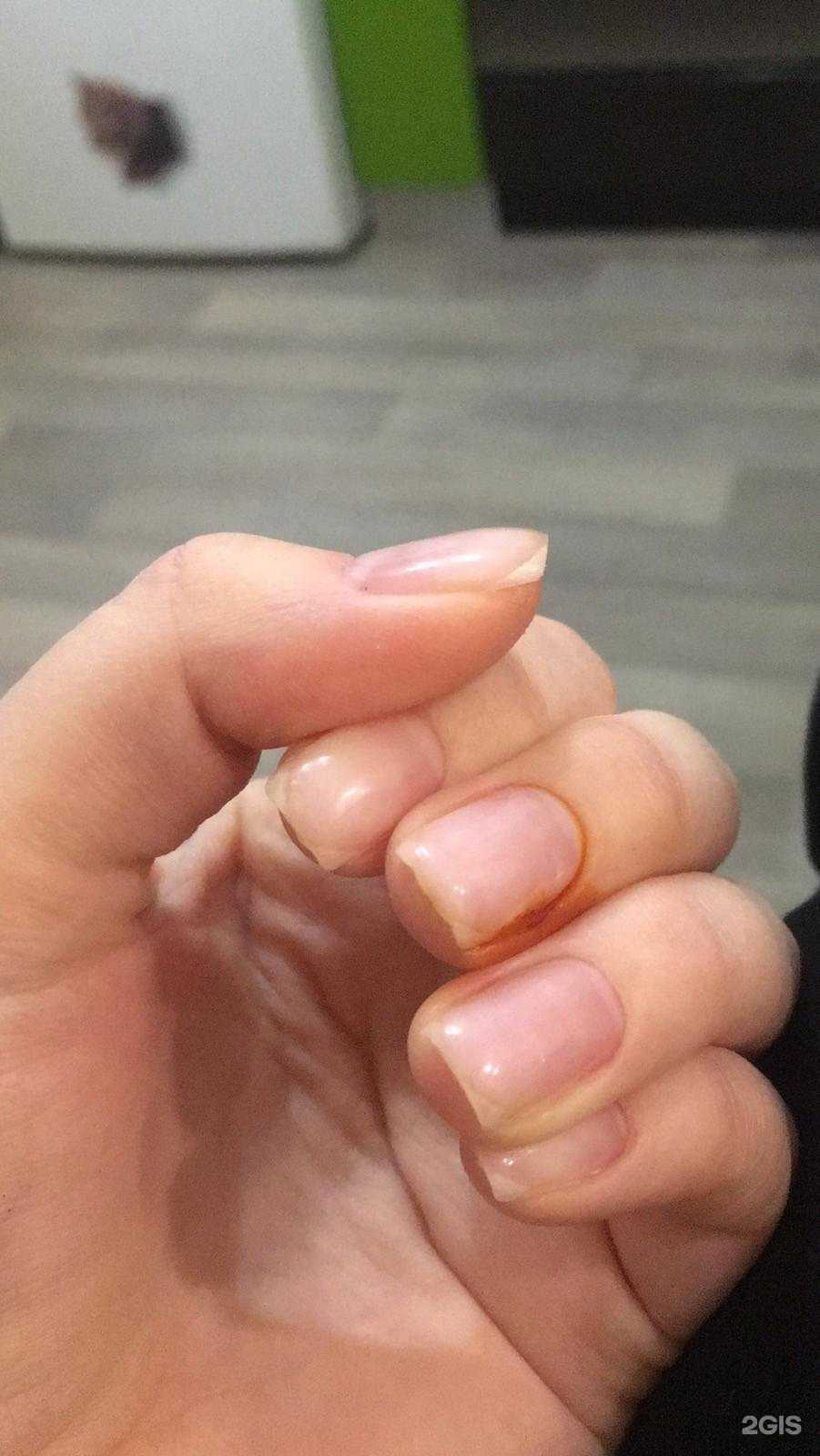 Отзывы на компанию Рыжая лиса в Оренбурге c фото