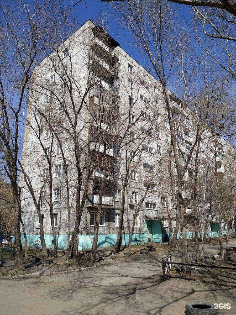 Отзывы на компанию Травник Рылеев в Омске c фото - фотография 2 из 2