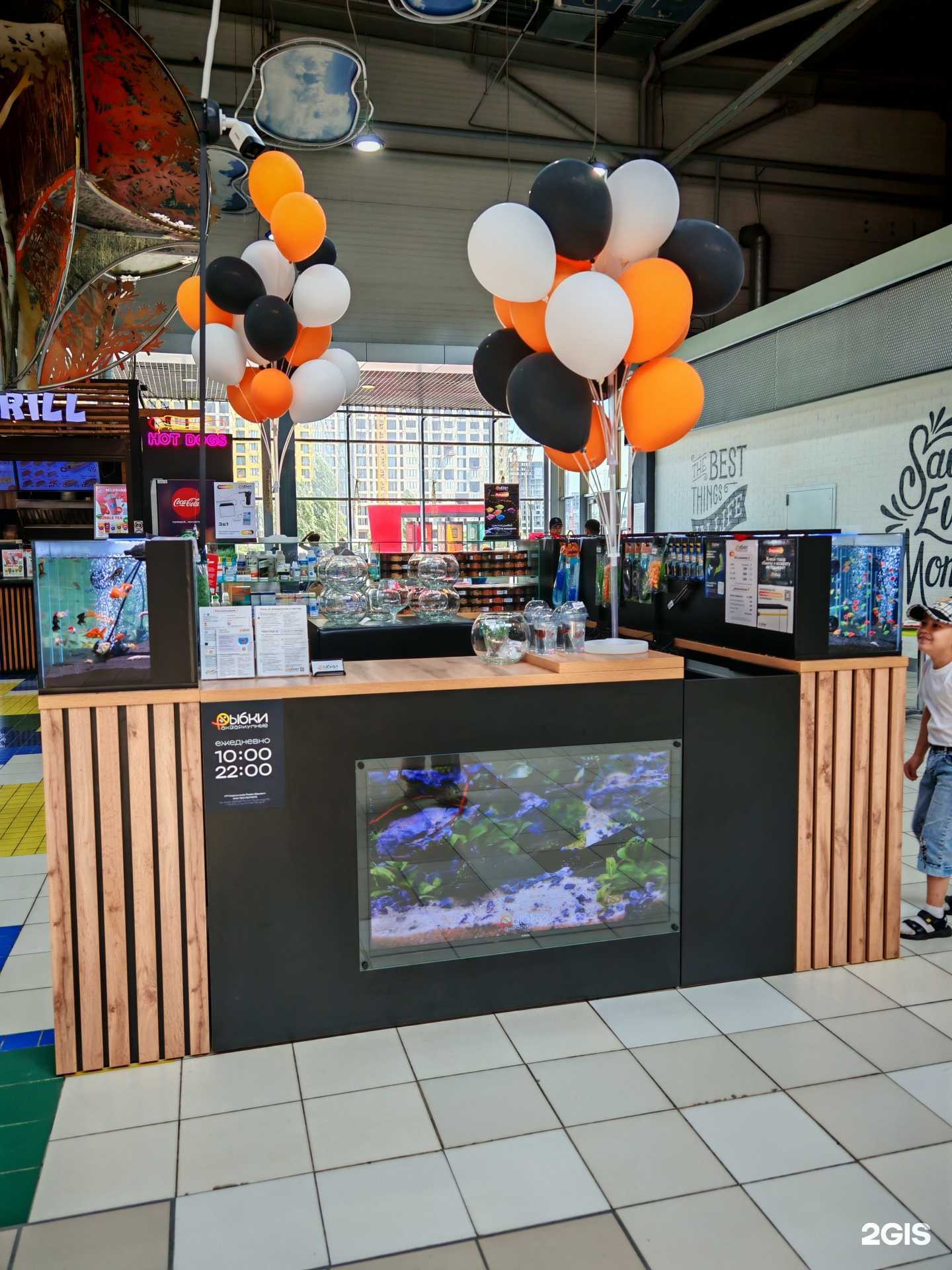 Отзывы на компанию Рыбки в Тюмени c фото