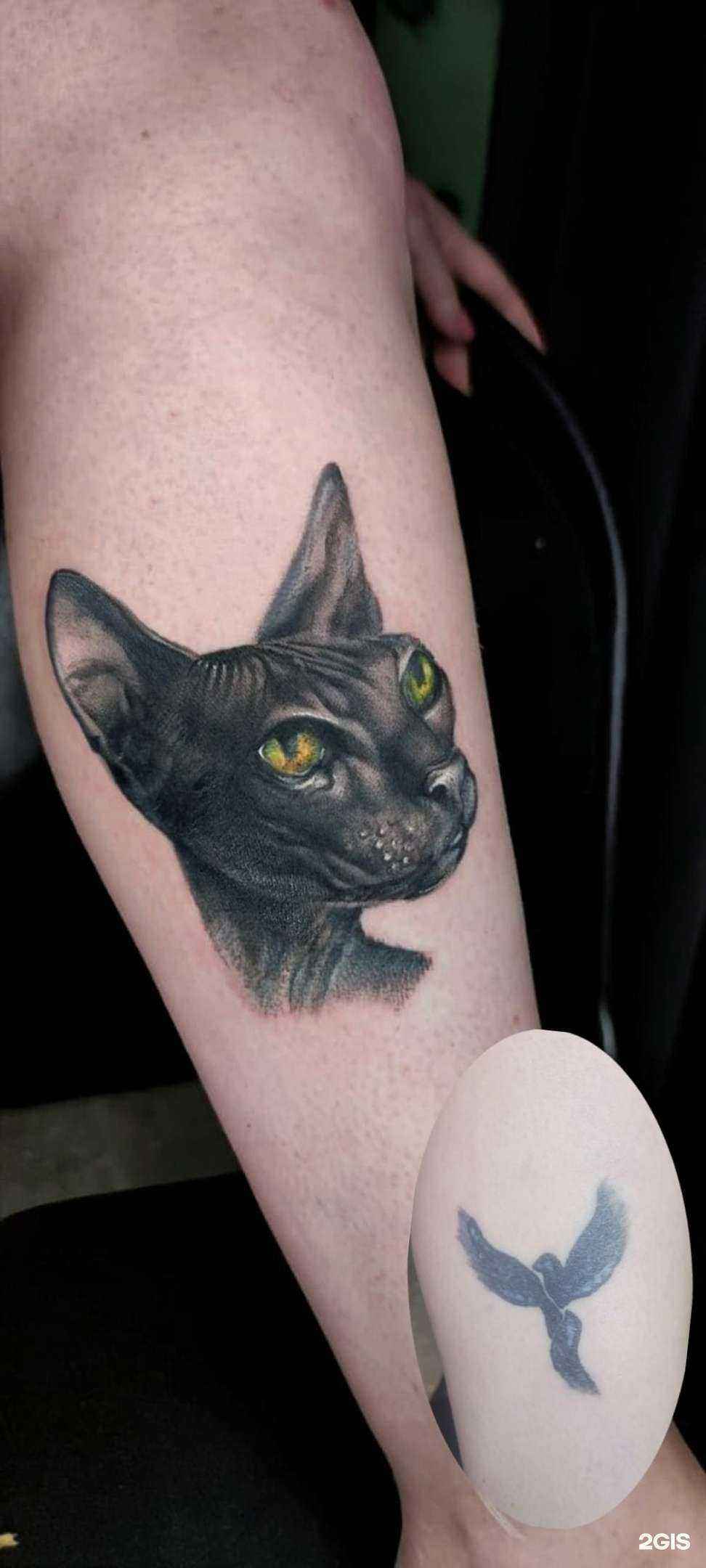 Отзывы на компанию Чешир в Саратове c фото