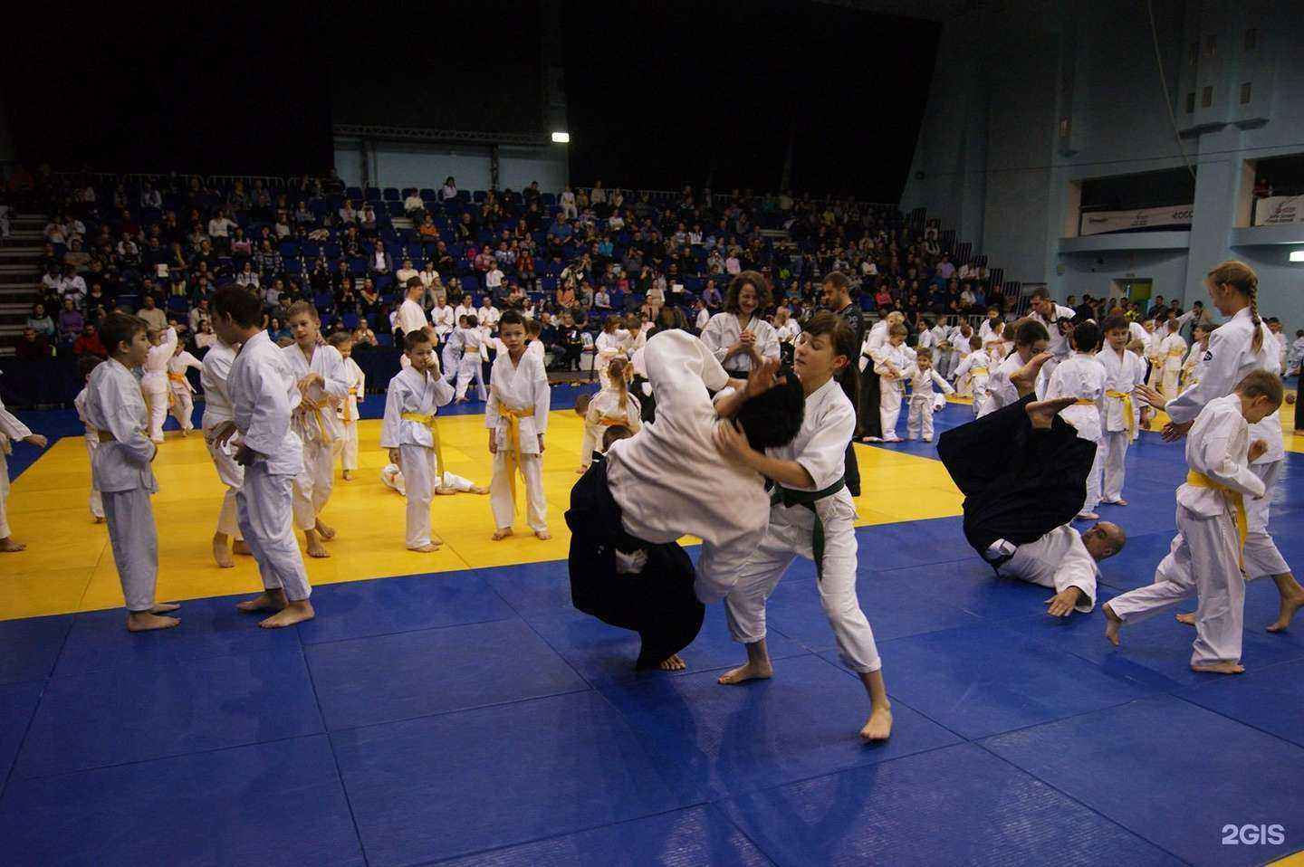 Отзывы на компанию Магнитогорская школа боевого искусства Айкидо Айкикай в г. Магнитогорск c фото