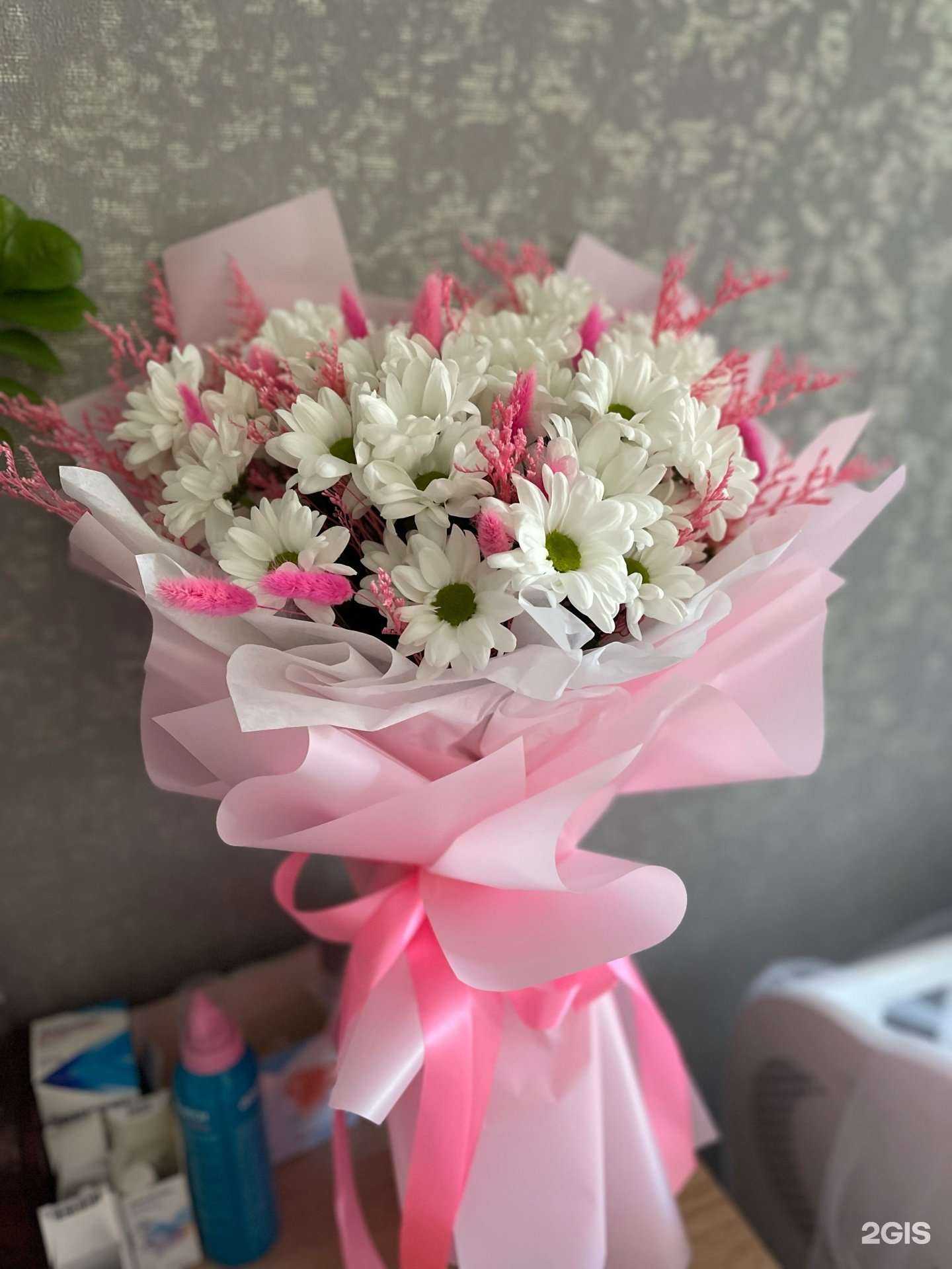 Отзывы на компанию Lesik.studio в Лесозаводске c фото