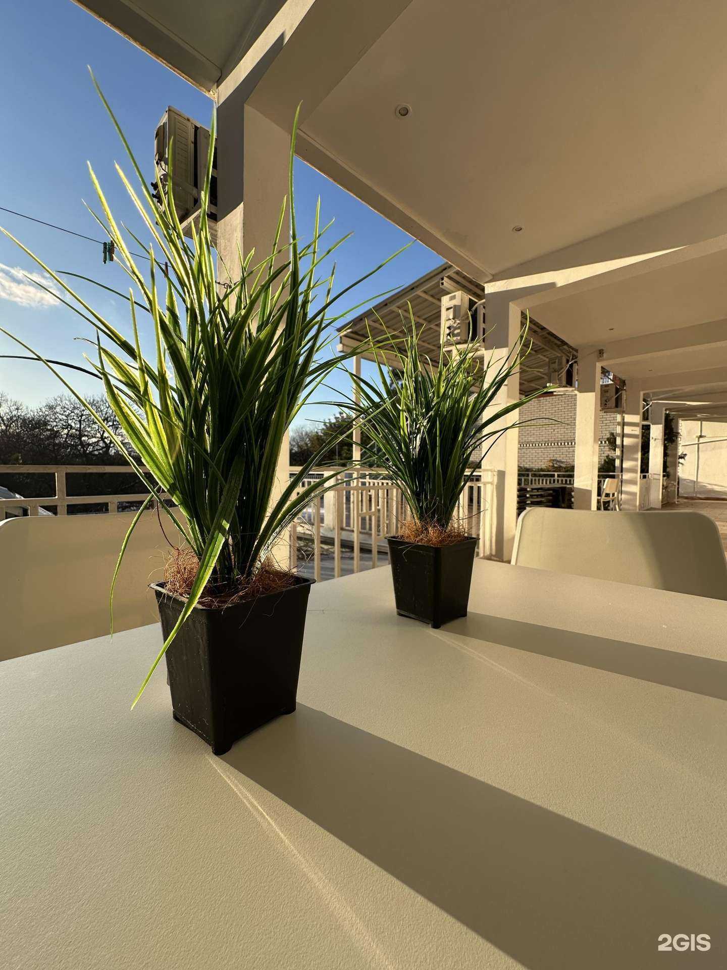 Отзывы на компанию Елизавета в Геленджике c фото