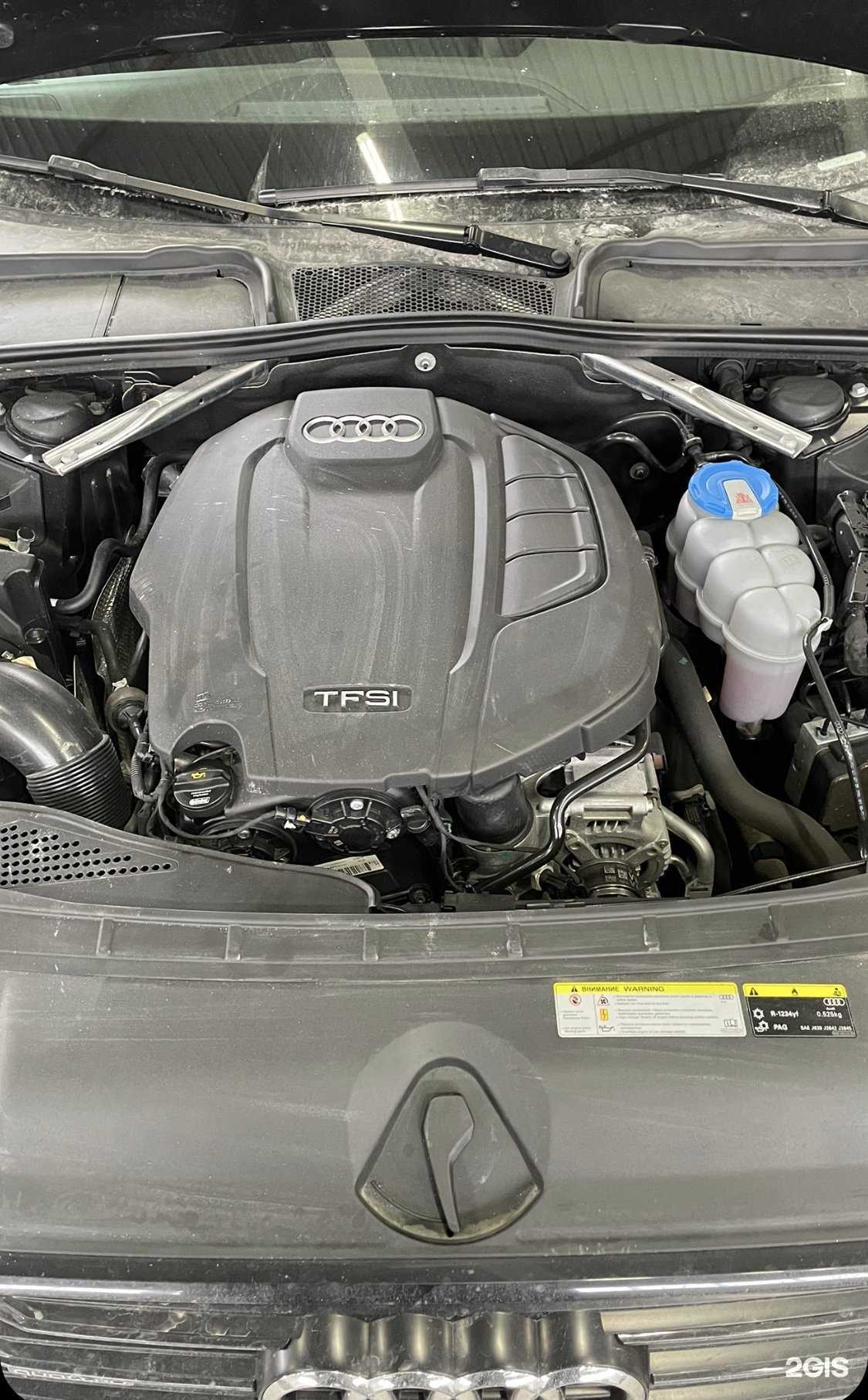 Отзывы на компанию Auditorium в Новосибирске c фото