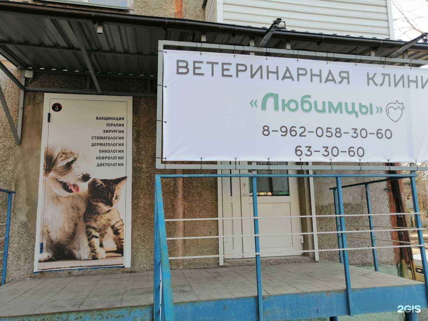 Отзывы на компанию Любимцы в г. Омск c фото