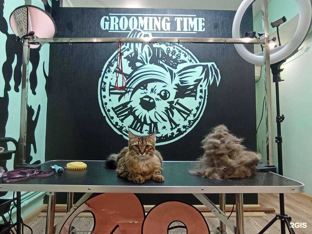 Отзывы на компанию GroomingTime в Краснодаре c фото