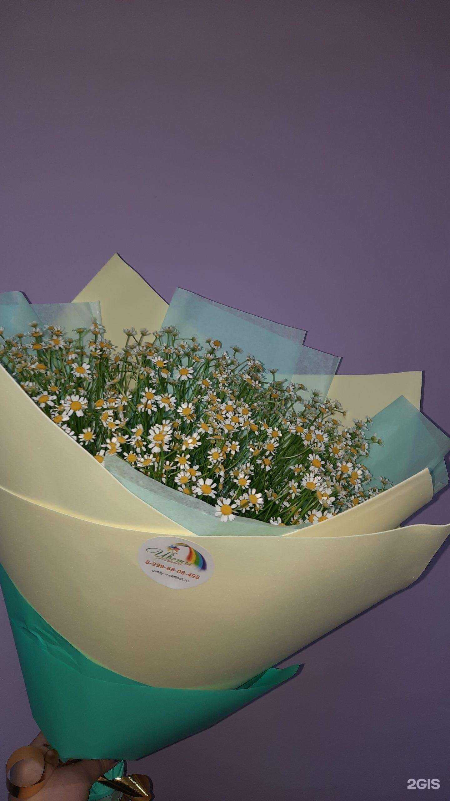 Отзывы на компанию Цветы в радость в Серпухове c фото