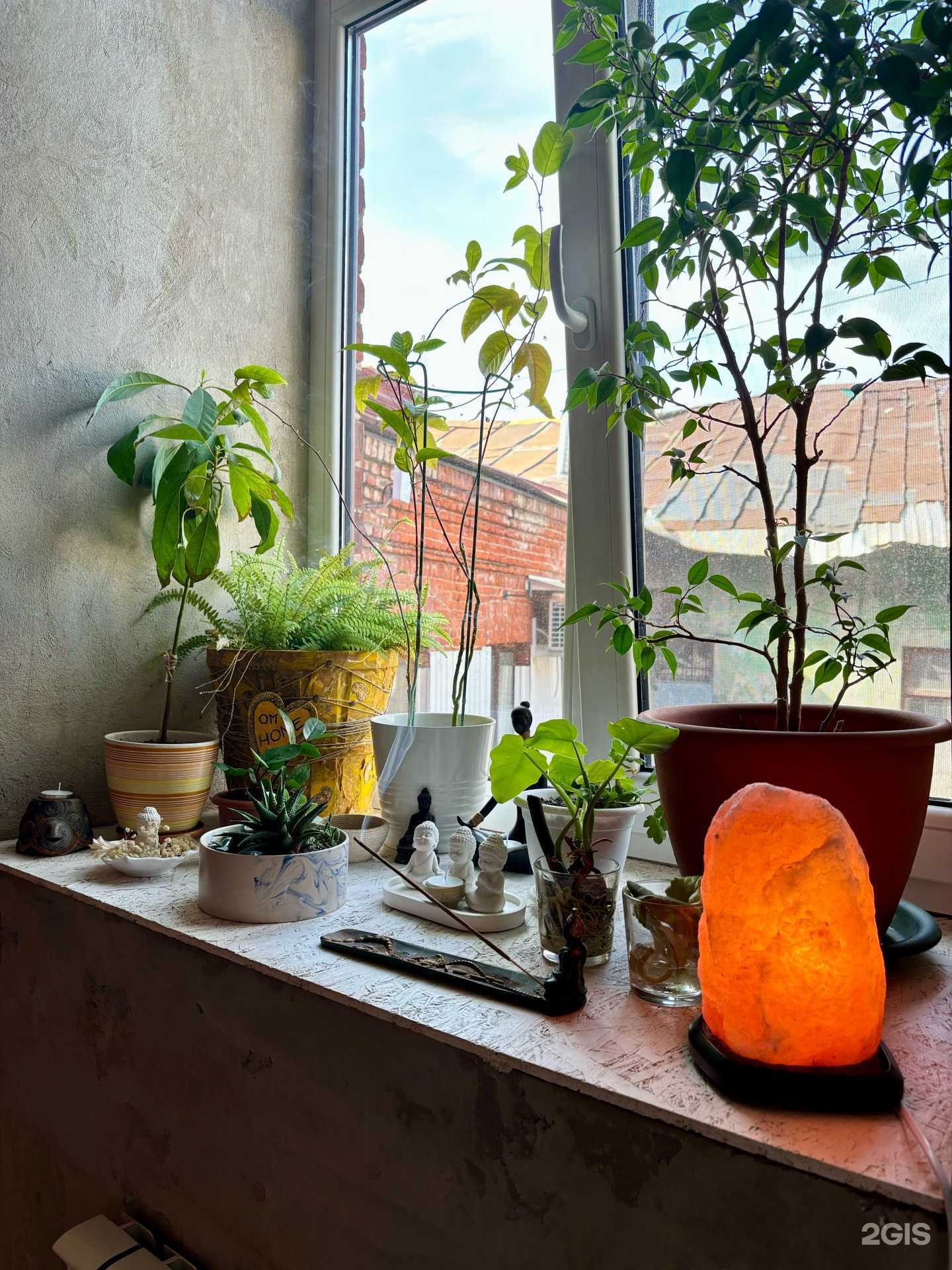 Отзывы на компанию Shanti в Казани c фото