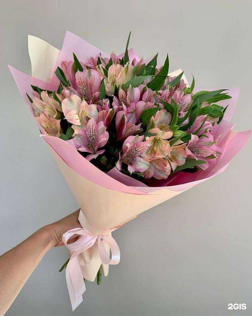 Отзывы на компанию Romantic в Петрозаводске c фото