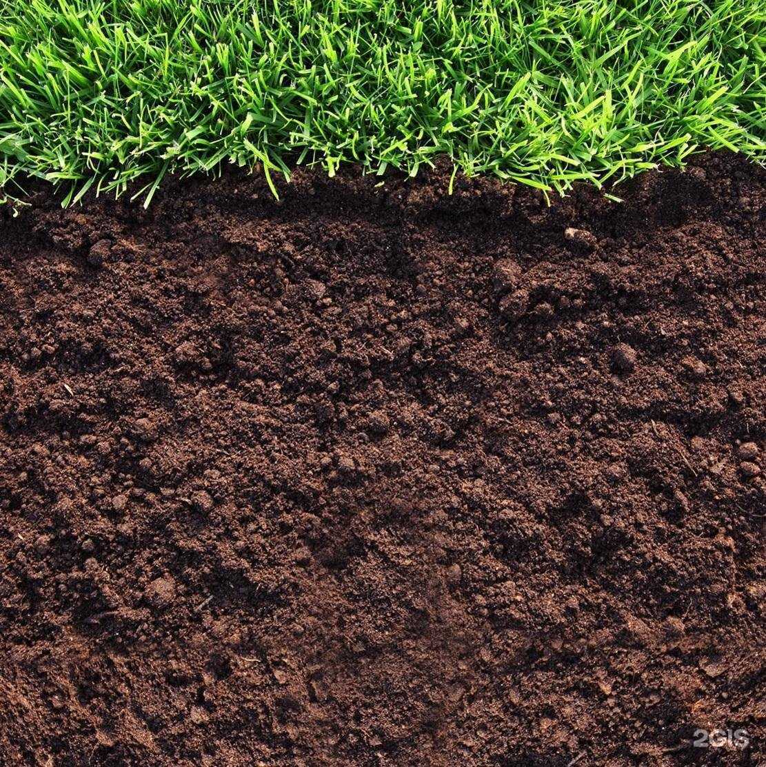 Отзывы на компанию Грунт Сочи  в Сочи c фото