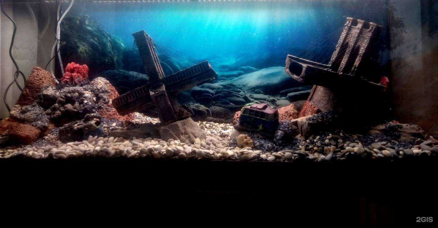 Отзывы на компанию Акваскейп-дв в г. Находка c фото