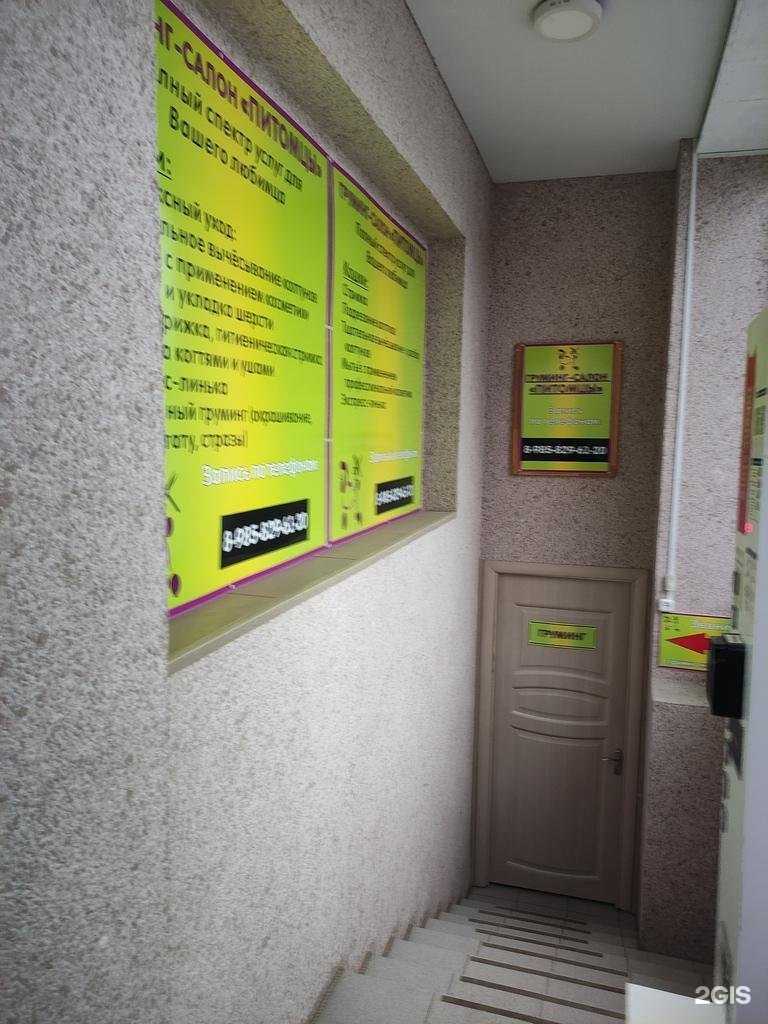 Отзывы на компанию Питомцы в Луховицах c фото