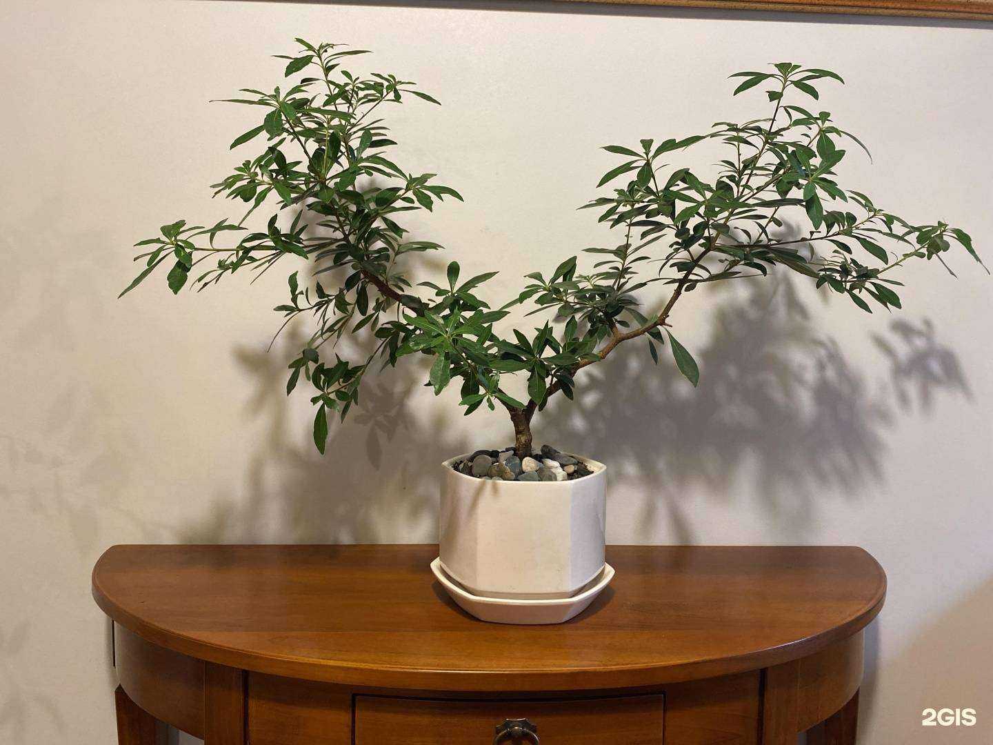 Отзывы на компанию Медиатип в Кемерове c фото