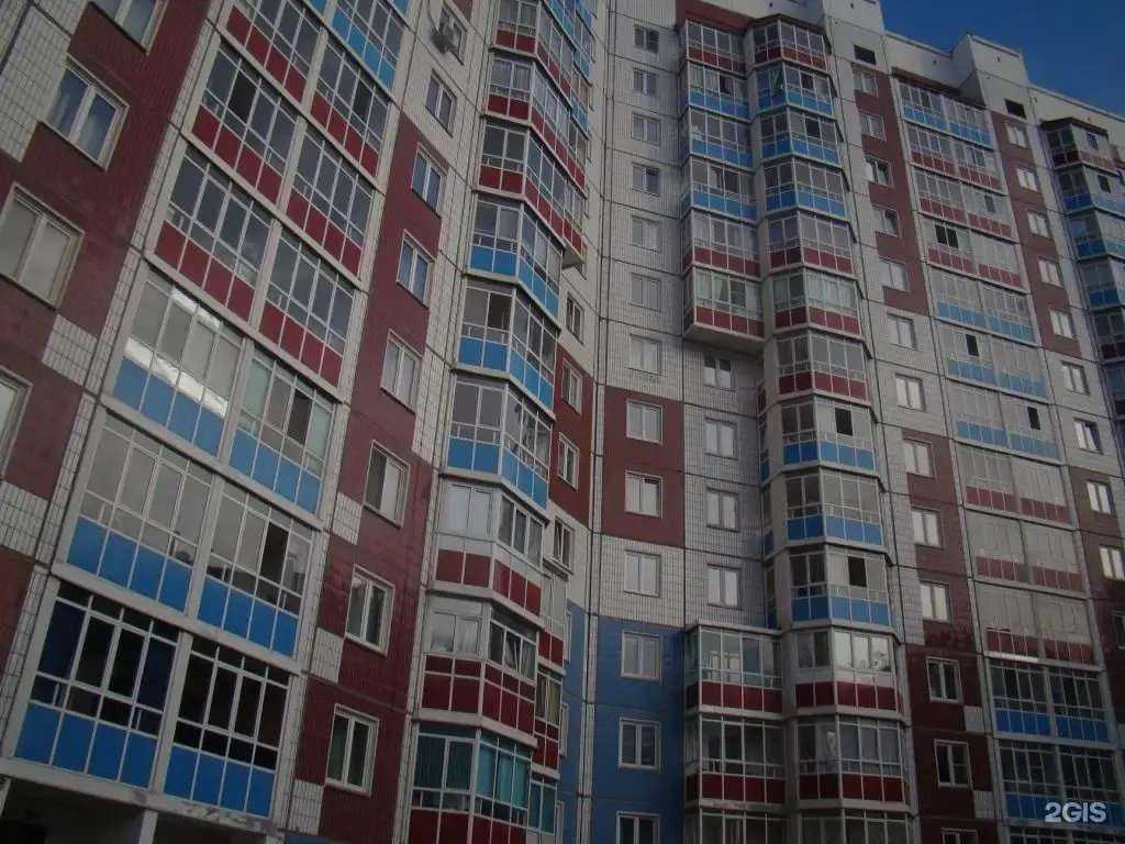 Отзывы на компанию 6 лап в Красноярске c фото - фотография 2 из 2