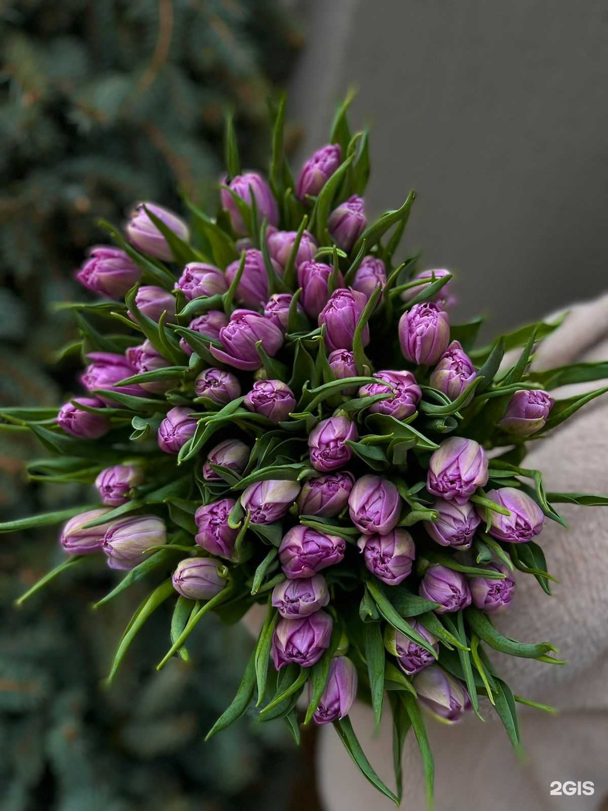 Отзывы на компанию Правда цветы в г. Оренбург c фото