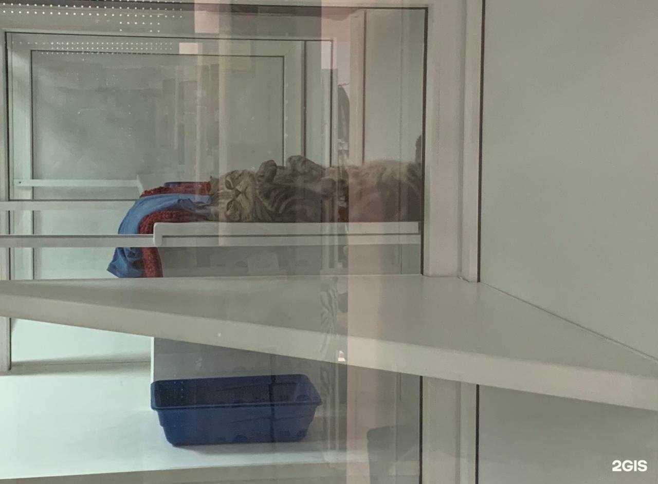 Отзывы на компанию Сто Хвостов в Набережных Челнах c фото