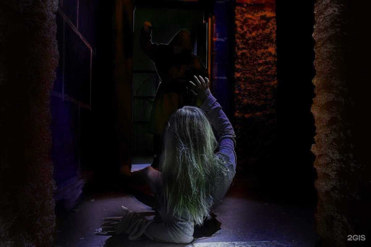 Отзывы на компанию Паника в Красноярске c фото