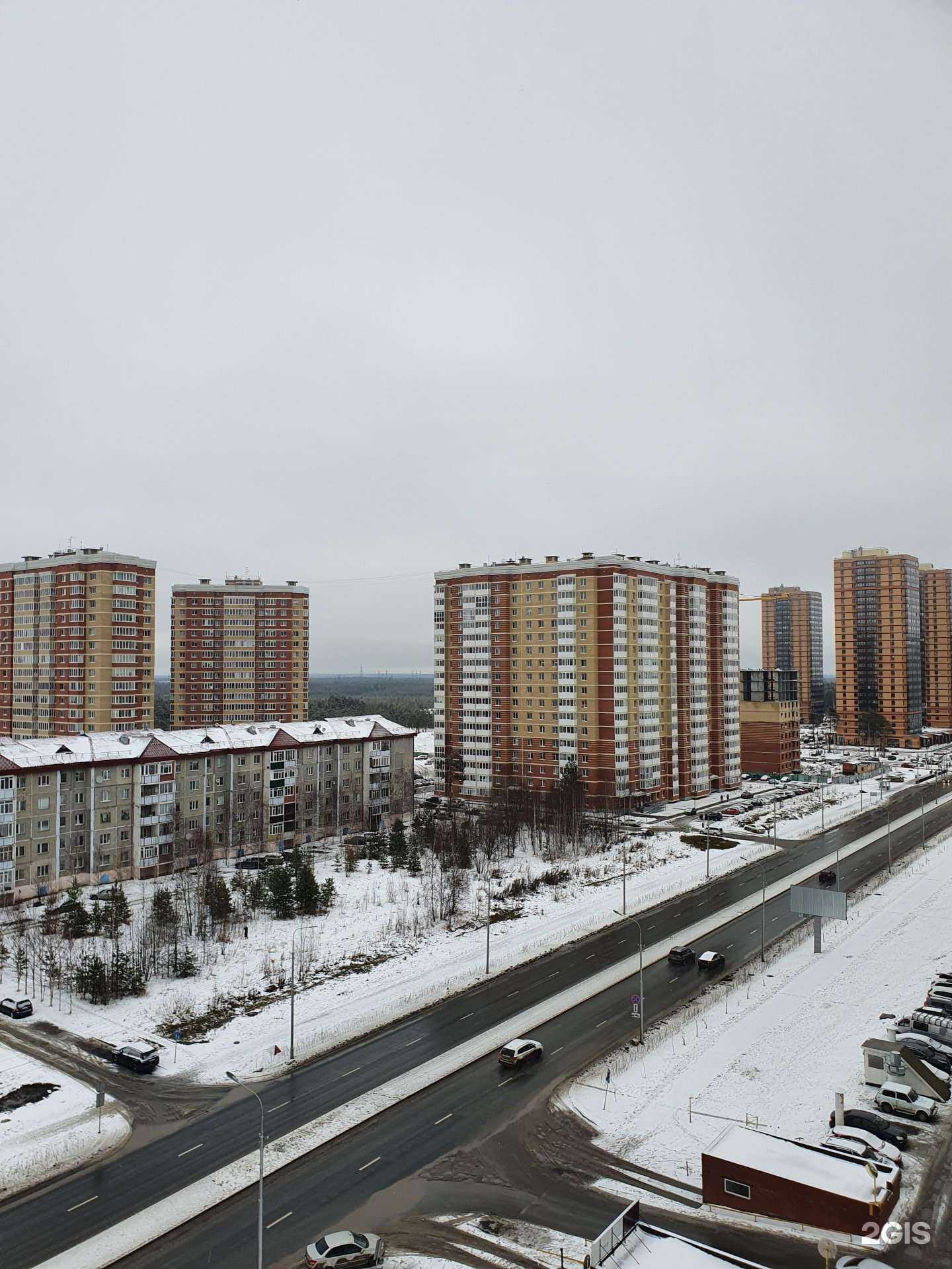 Отзывы на компанию Салмаз Тельмани в Сургуте c фото - фотография 2 из 2