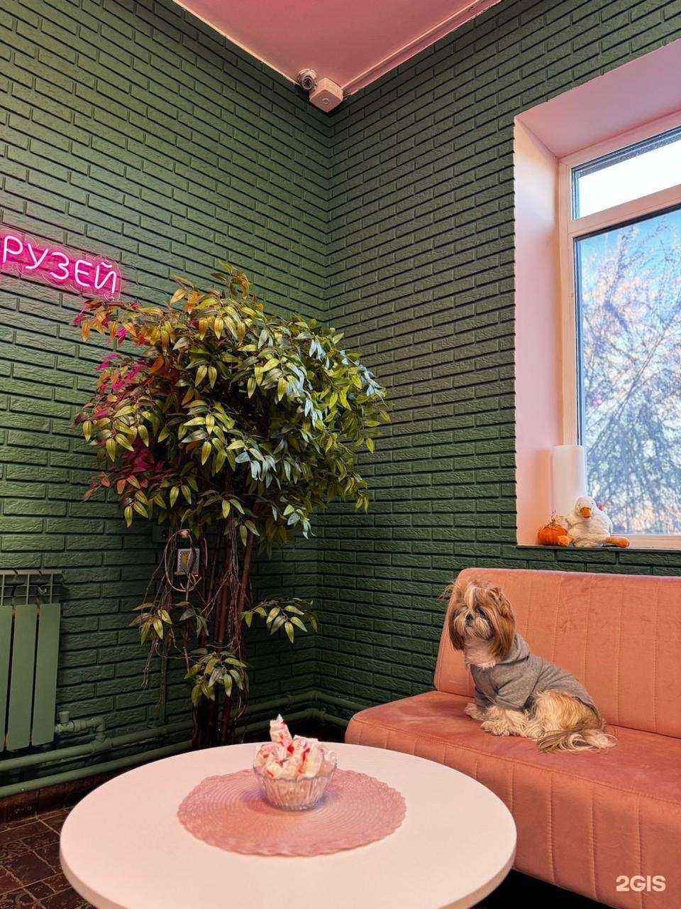 Отзывы на компанию Зверополис в г. Омск c фото