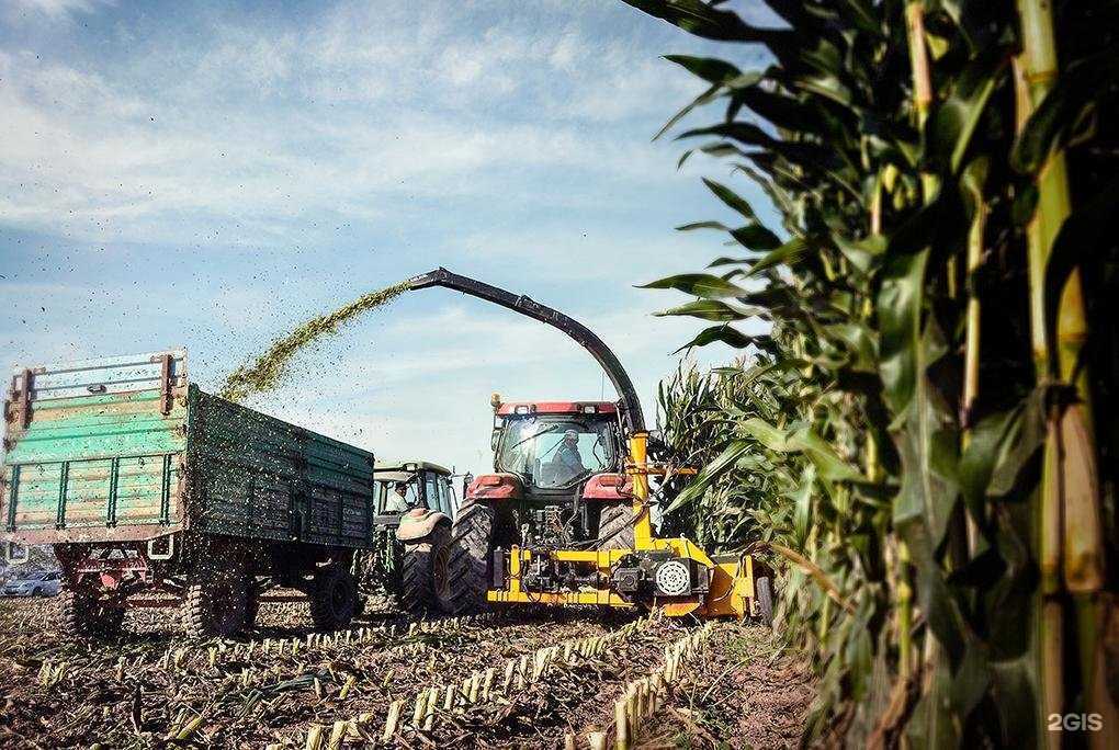 Отзывы на компанию BaitekMachinery в Сургуте c фото