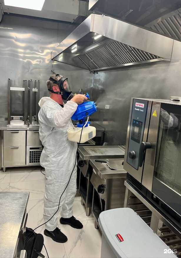 Отзывы на компанию Тараканов нет в г. Владивосток c фото